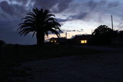 Прикрепленное изображение: IMG_0809_w.jpg